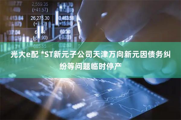 光大e配 *ST新元子公司天津万向新元因债务纠纷等问题临时停产