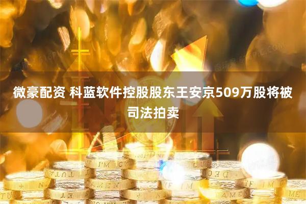 微豪配资 科蓝软件控股股东王安京509万股将被司法拍卖
