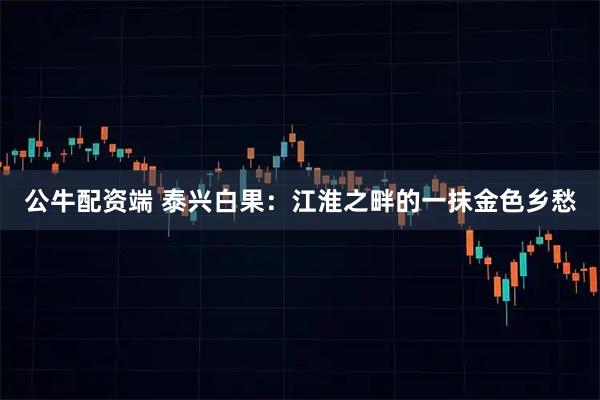 公牛配资端 泰兴白果：江淮之畔的一抹金色乡愁